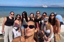 Best of Mykonos Shore Excursion: 4-Hour Island Tour & Town Walk
