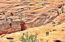 Small Group Guided Photography and Walking Tour of Zion 