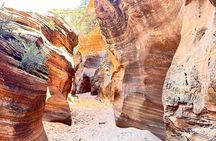 Small Group Guided Photography and Walking Tour of Zion 