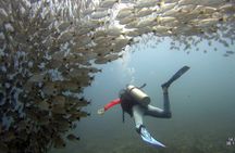 Discover Scuba Diving SSI Mini Course Tamarindo