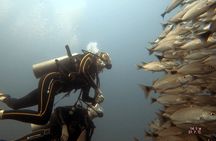 Discover Scuba Diving SSI Mini Course Tamarindo