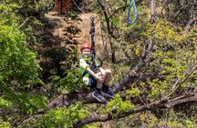 Six Zipline Adventure with Waikiki Transportation