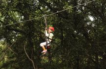 3 Zipline Adventure with Waikiki Transportation