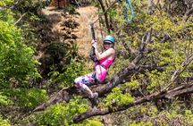 3 Zipline Adventure with Waikiki Transportation