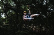 3 Zipline Adventure with Waikiki Transportation