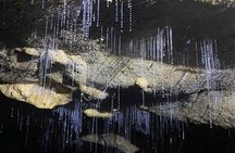 From Auckland: Waitomo Glowworm & Cave Explorer Small Group Tour 