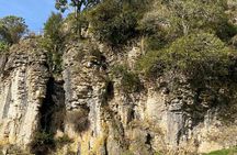 From Auckland: Waitomo Glowworm & Cave Explorer Small Group Tour 