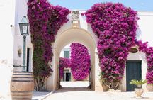 Wine tasting experience in the Apulian countryside 