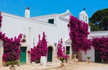 Wine tasting experience in the Apulian countryside 