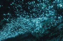 From Auckland: Waitomo Glowworm & Cave Explorer Small Group Tour 