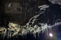 From Auckland : Spellbound Glow Worm Twin Caves Private Tour 