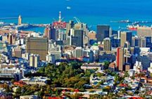 Small Group 3 Day Garden Route Adventure from Cape Town