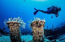 Side Scuba Diving with Transfer and Lunch