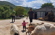 One day cheese making and tasting experience
