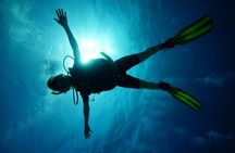 Two Reefs For Certified Divers in Cancun