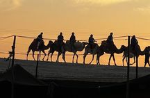 Sunrise Camel Ride and Breakfast in Agafay Desert from Marrakech