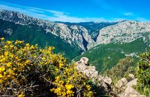 Trekking excursion to Gorropu canyon