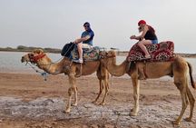Sunset Camel Ride in Agadir with Dinner in Habitant House