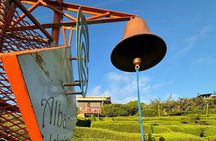 Full Day Guided Tour in El Salvador Waterfall and Cafe Albania