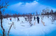 Aurora Crystal Lavvo Overnight with Activities from Tromsø