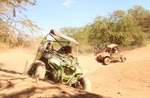 Oahu Guided Off-Road ATV Adventure from Waikiki -Round Trip Trans
