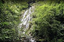 Valle De Anton Rainfall Hot Springs and Nature Private Tour 