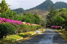 Valle De Anton Rainfall Hot Springs and Nature Private Tour 