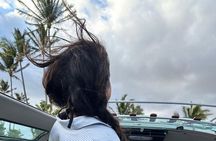 Brewery and Beach Cruise in a Vintage VW Bus 