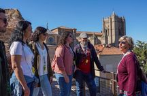 Avila with Walls and Segovia with Alcazar from Madrid