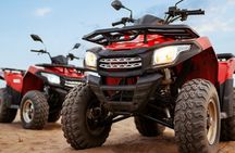  Dubai Desert Safari: with Camel Ride, live entertainment and bbq