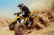  Dubai Desert Safari: with Camel Ride, live entertainment and bbq