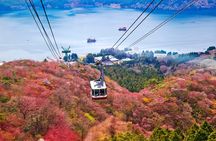 Mount Fuji and Hakone Private Day Trip by Car/Van - in English