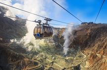 Mount Fuji and Hakone Private Day Trip by Car/Van - in English