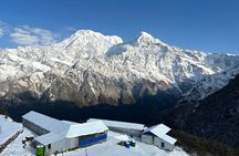 4 Days Private Mardi Himal Trek
