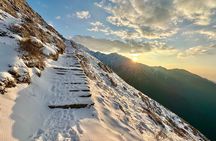 4 Days Private Mardi Himal Trek