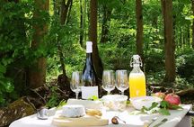 E-Bike Guided Tour to The Chateau de Chenonceau with Picnic Lunch