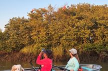Sunset Clear Kayak Tour along inner St Augustine Coastline