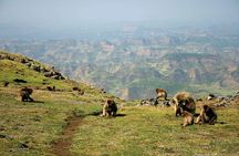 Simien Mountains Ultimate 3 Day Tour