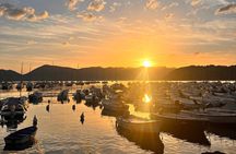 Guided Boat Tour of the Gulf of Poets