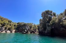Guided Boat Tour of the Gulf of Poets