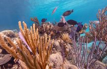 Private Sightseeing Tour in Nassau with Lunch