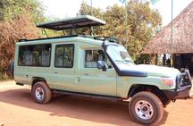 Private one day Game Drive in Akagera National Park with Lunch