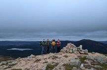 Private Guided Discovery Walk in the Cairngorms