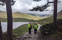 Private Guided Discovery Walk in the Cairngorms