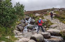 Private Guided Discovery Walk in the Cairngorms