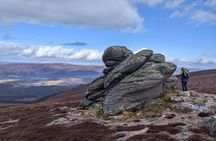Private Guided Discovery Walk in the Cairngorms