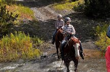 2 Hour Trail Ride in Montana Ranch Country