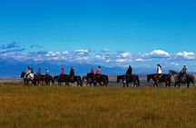 2 Hour Trail Ride in Montana Ranch Country