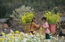 Ultimate Ha Giang Loop Private Tour 5D/4N All-Inclusive Ride
