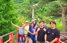 Small Group DMZ Tour from Seoul Korea with North Korean Defector